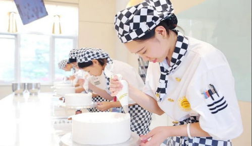 女生最吃香的十大專業(yè)有哪些