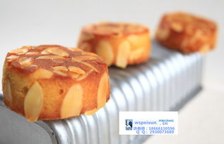 烘焙行業龍頭學校 珠海王森國際咖啡西餐西點培訓學校