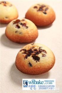 珠海王森培訓(xùn)學(xué)校一年烘焙西點班開課了