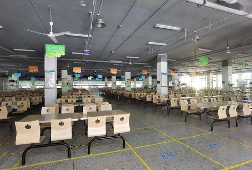 阜陽兩所學校接受抽查，陽江西點學校問題浮出水面